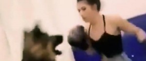 Une vidéo d'une femme boxant son chien déclenche...